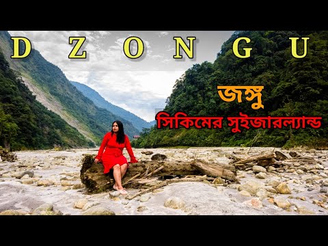 Video: Dzongu - A Call From Offbeat Sikkim