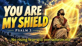 Mr. Park   PRAISE & WORSHIP You Are My ShieldInspired by Psalm 3