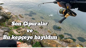 Aji olta takımı ve silikon sahteler ile son çipura avları ve levrek çipura için harika bir  kepçe