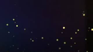 Tanımam Senden Başka (Ömer Yanikkaya)