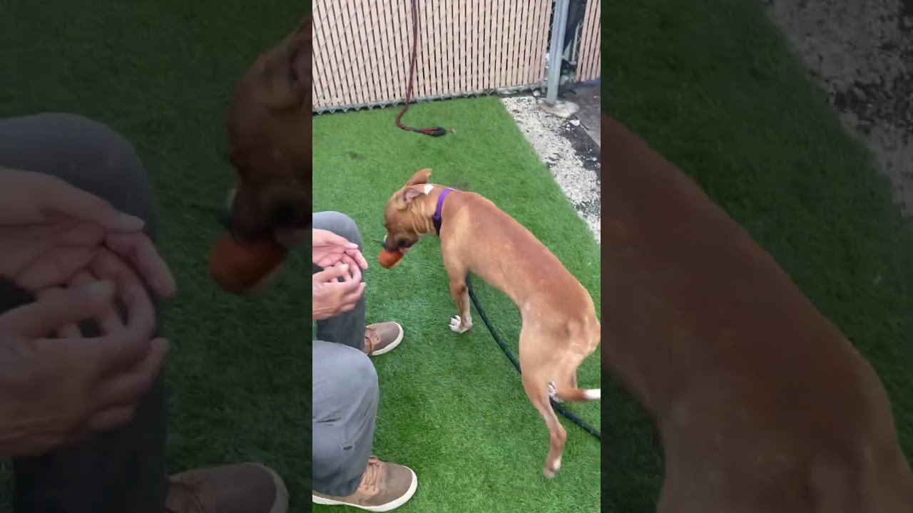 Bruno Aka mission 181630