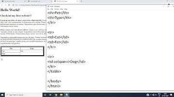 HTML Tables - Rowspan and Colspan Attribute | Video #4