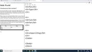 HTML Tables - Rowspan and Colspan Attribute | Video #4