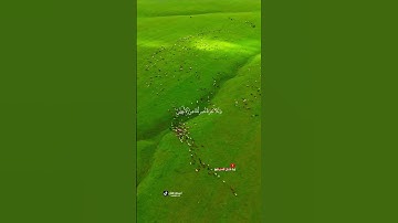 القارئ محمد صديق المنشاوي . والضحى وَٱلَّيۡلِ إِذَا سَجَىٰ