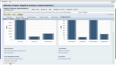Project Management Analytics and Reporting with SAP Business ByDesign: Solution Demo