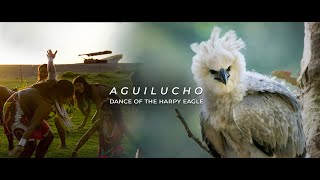 Aguilucho: Dance of the Harpy Eagle (Trailer)