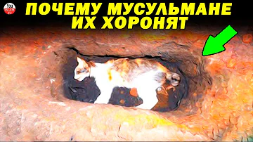 ПО ЭТОЙ ПРИЧИНЕ КОШЕК СЛЕДУЕТ ХОРОНИТЬ\ НАСТОЯЩАЯ ПРИЧИНА ПО КОТОРОЙ ХОРОНЯТ ЖИВОТНЫХ