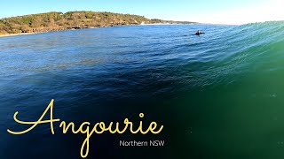 SURF ESCAPE #1- Super Fun Condition at Angourie's Surf Reserve