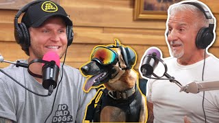 The crazy life of a Military K9 handler / How to start your dog on raw diet? No Bad Dogs Podcast