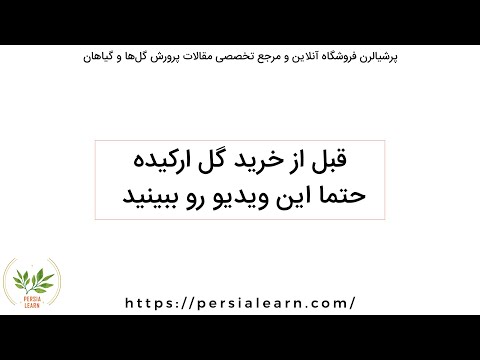 تصویری: کنیفوفیا سنبله ای شکل