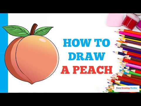 How to Draw