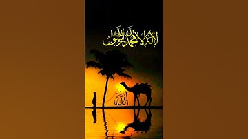 خشوع لا يوصف – تلاوة مؤثرة – الشيخ ماهر المعيقلي 🤲💚