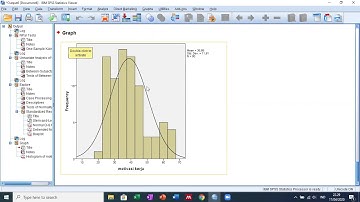 Transformasi Data dan Teknik Monte Carlo (Uji Two Way Anova - Data Tidak Normal)