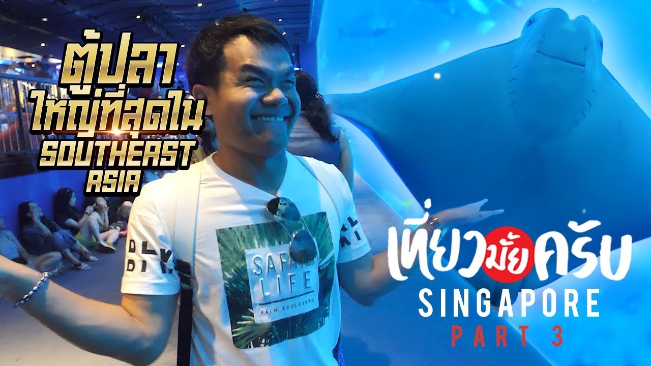 เที่ยวมั้ยครับ EP.10 ไปดูตู้ปลายักษ์ที่ใหญ่ที่สุดใน Southeast Asia ที่สิงคโปร์(Part 3/3)
