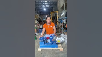 Bơm Bánh Răng Ăn Khớt Trong Có Gắn Động Cơ Giảm Tốc  #vimex #bombanhrang