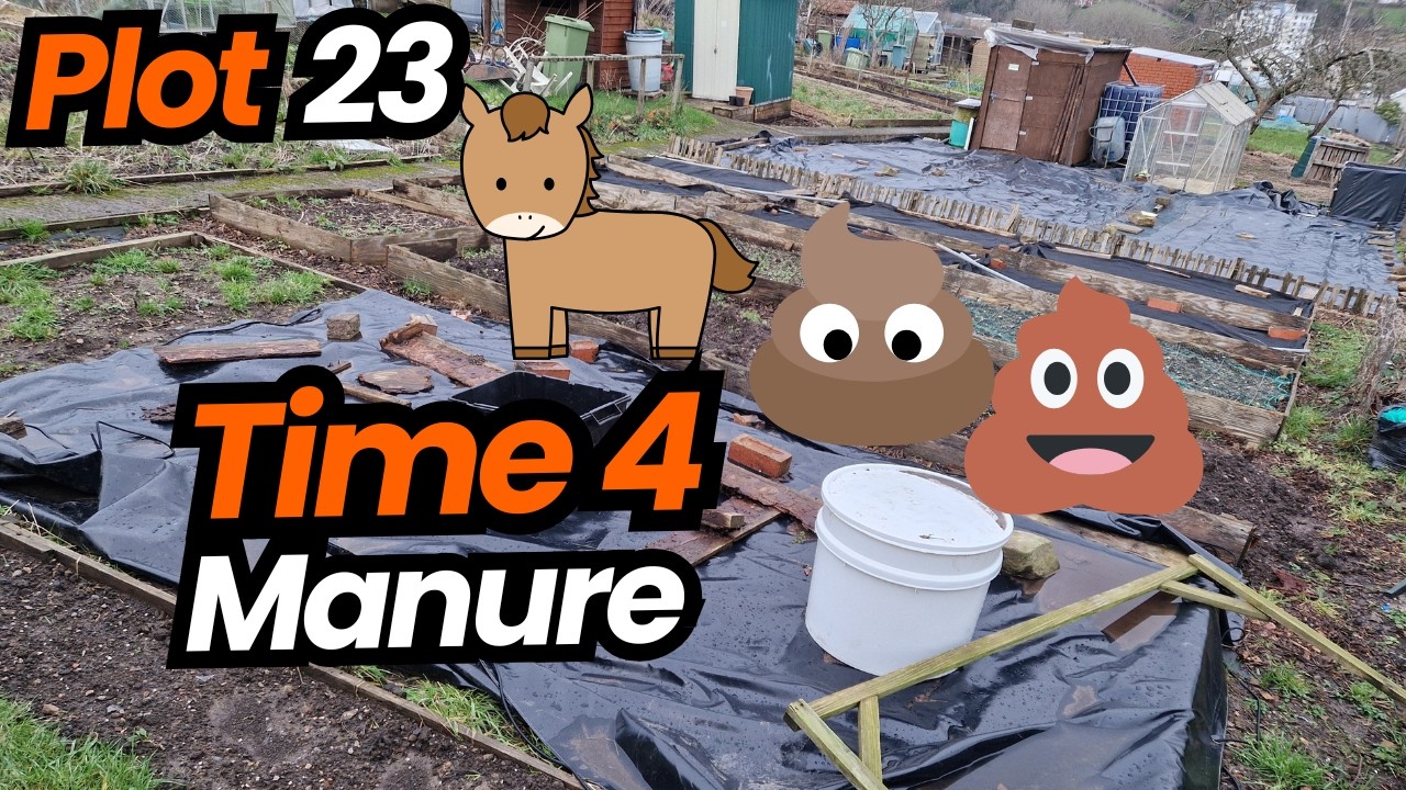 Time to feed the bed with Manure on the Allotment