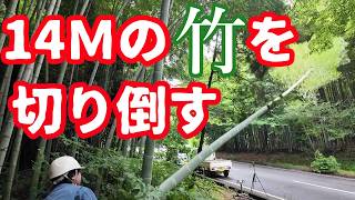 流しそうめんの竹を伐採【 わたしの田舎谷当工房】