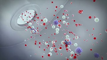 ANGLE Parsortix technology