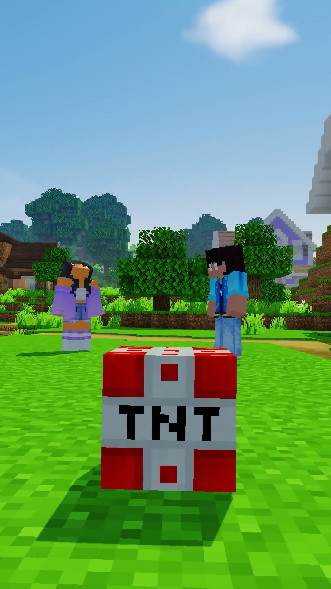 Pierce's secret TNT MEGA Block!