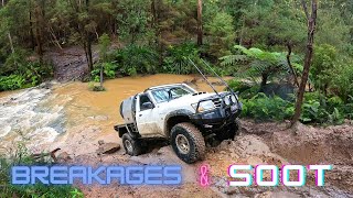 Duramax & Td42 PATROLS in NEERIM SOUTH after 100ml of rain!!