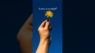 For This Time - Hey- Bsaf