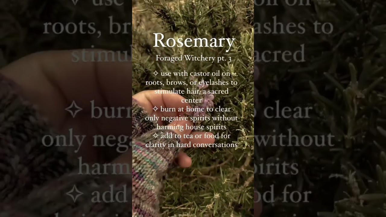The Herb Every Witch Needs 