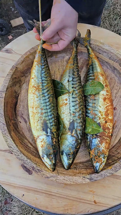 Ikan tenggiri asap panas di atas panggangan