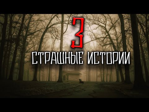 3 СТРАШНЫЕ ИСТОРИИ ИЗ РЕАЛЬНОЙ ЖИЗНИ | Мистика | Scary stories | Черный Рик