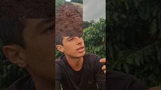 com MUITO ESFORÇO o RESULTARO VEIO! #agro #motivation #shorts