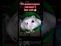 9 липня 2025 р.