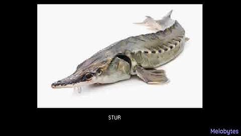 melobytes AI image to Music