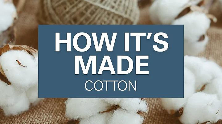 How Cotton Is Grown and Harvested | Where Cotton Fabric Comes From