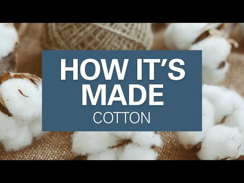 How Cotton Is