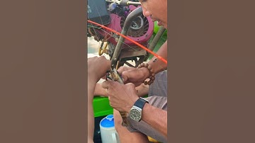 Câu tôm càng xanh khủng trên sông Tiền.