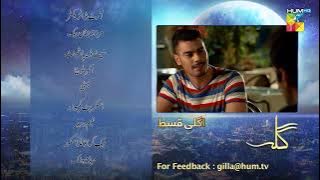 Gila Ep 65 Teaser [ Wahaj Ali - Anzela Abbasi ] Best Pakistani Serial - HUM TV