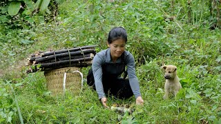 Download lagu Han and Lulu went into the forest to get firewood and unexpectedly met wild ducklings.