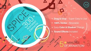 Celebrity After Effects Template : SPICE - 300+ Animated Elements Net Worth