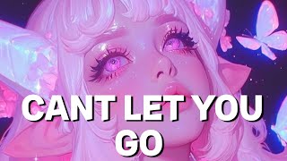 Amycrowave - Cant Let You Go (Slowed)