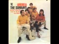 The Sunrays - Andrea