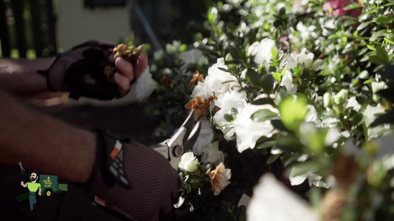 Meet Gareth from Jim's Mowing Victoria Park, WA | 131 546 | www.jims.net |