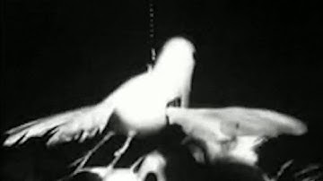 M_Rec Ltd Grey Series 03