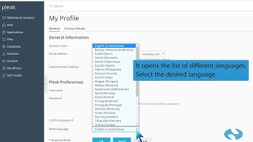 How to change language in Plesk Panel