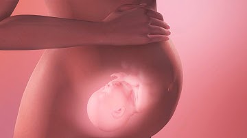 3D Medical Animations