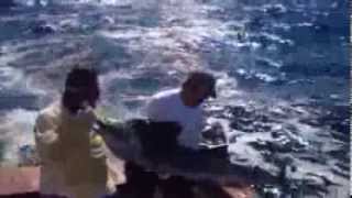 Othar Lawrence Fishing On The A-Fin-Ity In Guatemala - Feb. 2014