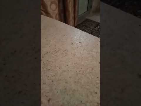 لو رجع بيا الزمن تانى كنت هتمنى
