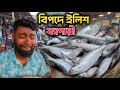 না বুঝে ধরা খেলো ইলিশ ব্যাপারী। কাস্টমারের কাছে দাম বেশি হলেও লস দেখায় ব্যাপারি। Elish price in bd.