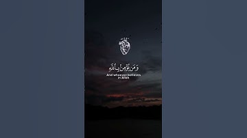 اكتب شيء تؤجر عليه 🤍 #القران_الكريم #quran #ياسر_الدوسري #القارئ_ياسر_الدوسري #fyp #fypシ #allah