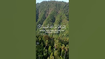 إن المتقين في جنات و عيون القارئ #أحمد النفيس #سورة الذاريات #shortvideo