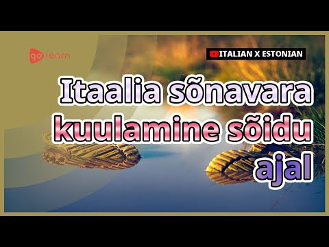 Video: Kukkub Sõidu Ajal