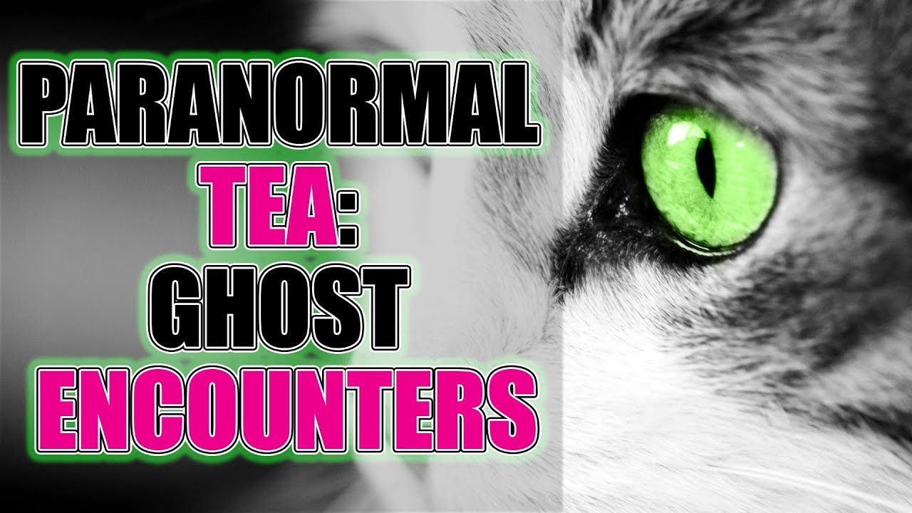 PARANORMAL TEA GHOST ENCOUNTERS Ghost Stories YouTube